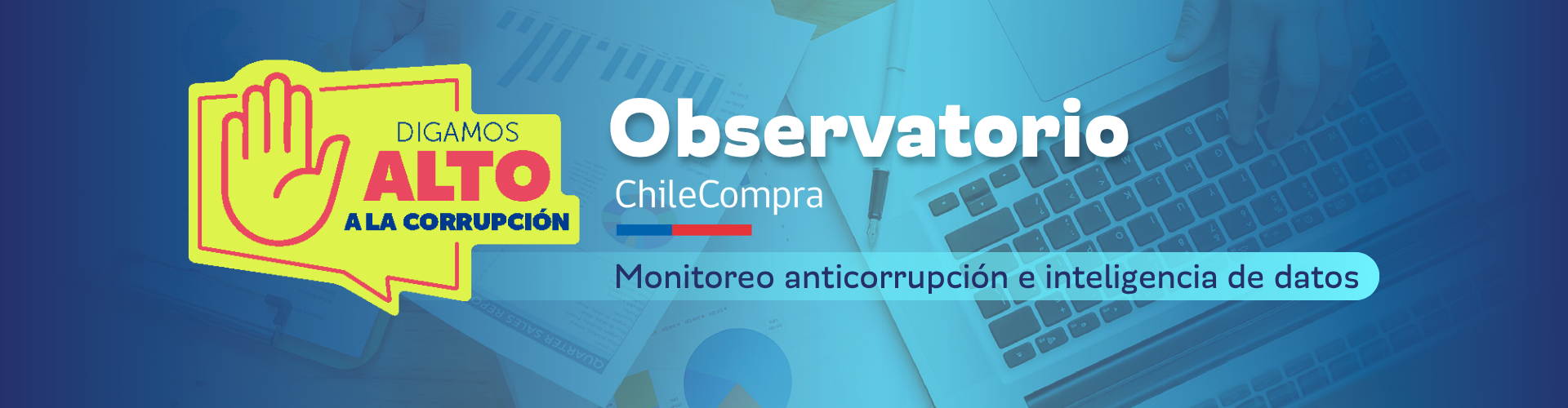 banner-monitoreo-observatorio banner-monitoreo-observatorio